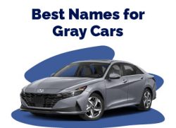 Best Name for Gray Cars