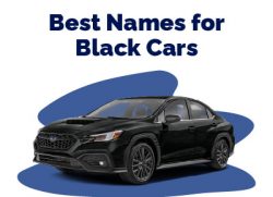Best Names for Black Cars