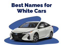 Best Names for White Cars
