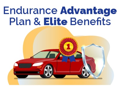 Endurance Advantage and Elite
