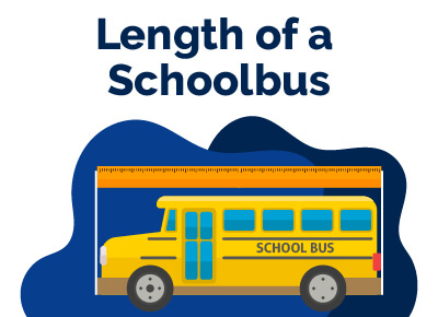 Length of Schoolbus