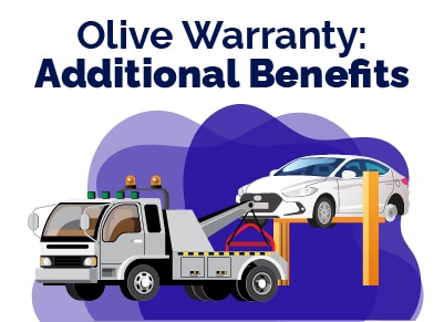 Olive Warranty Additional Benefits