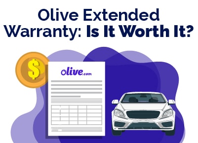 Olive Warranty Is It Worth It