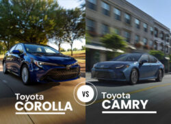 Toyota Corolla vs Camry