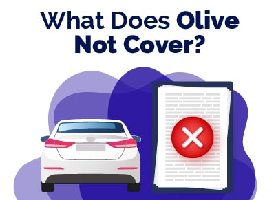 What Does Olive Not Cover