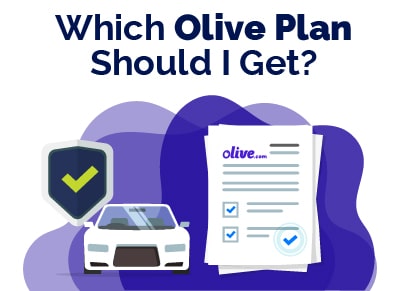 Which Olive Plan Should I Get
