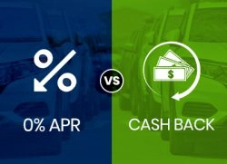 low apr vs cash back